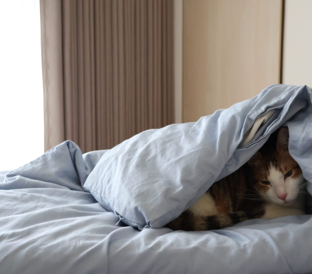 【桃園艾洛瑟窗簾】-免費丈量加LINE立即得到窗簾報價LINEID-@elose (7)