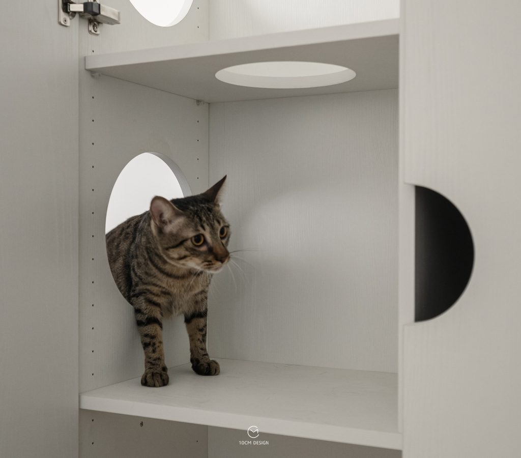 艾洛瑟窗簾 青埔窗簾推薦 桃園窗簾推薦 林口窗簾推薦 台北窗簾推薦 板橋窗簾推薦 0930193141 (6)